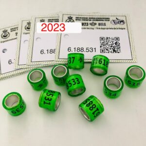 20pcs 2023 BELG Pigeon Rings With Letters Cards Bird 8mm