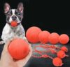 Dog Training Interactive Bite-resistant Rubber Ball With Rope Solid Elastic Ball Teddy Big Dog Horse Dog Molar Toy Ball Pet Toy