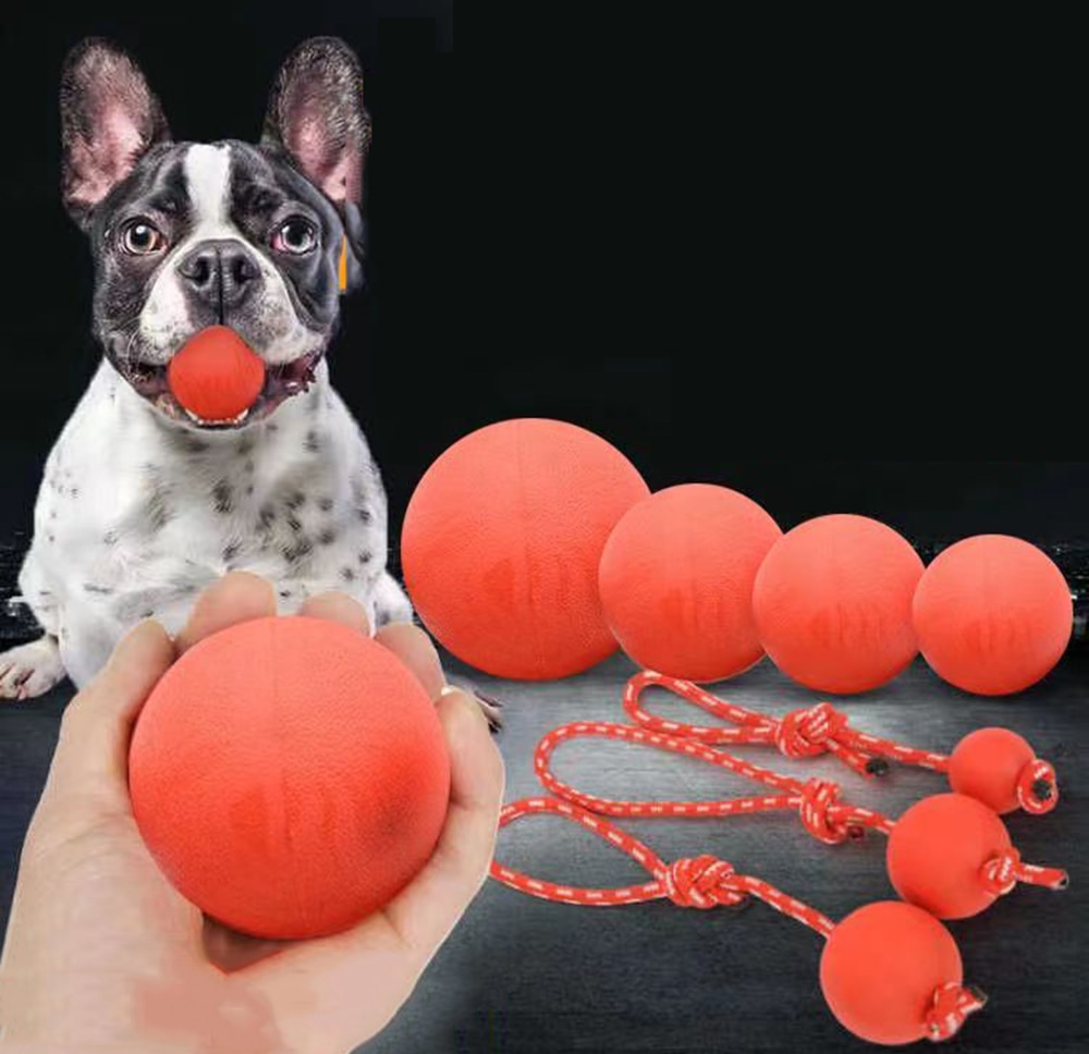 ROZEBE Nylon Plush Ball Dog Toys, Interactive Fetch Toys for Training and Exercise, Engaging Toys for Small, Medium and Large